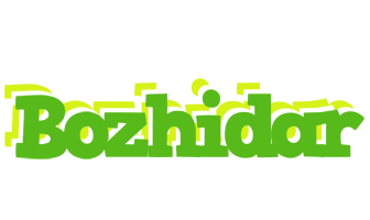 Bozhidar picnic logo