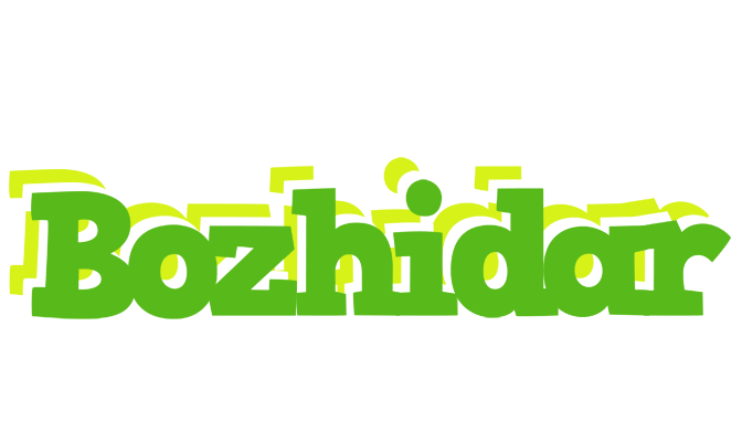 Bozhidar picnic logo