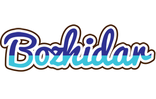 Bozhidar raining logo