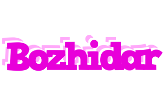 Bozhidar rumba logo