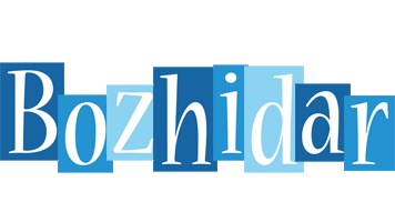 Bozhidar winter logo