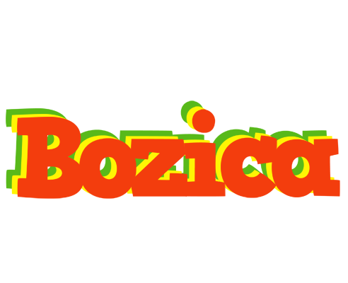 Bozica bbq logo