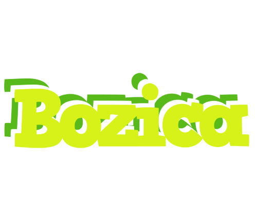 Bozica citrus logo