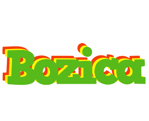 Bozica crocodile logo