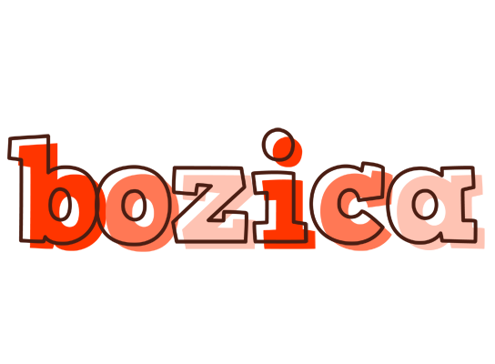 Bozica paint logo