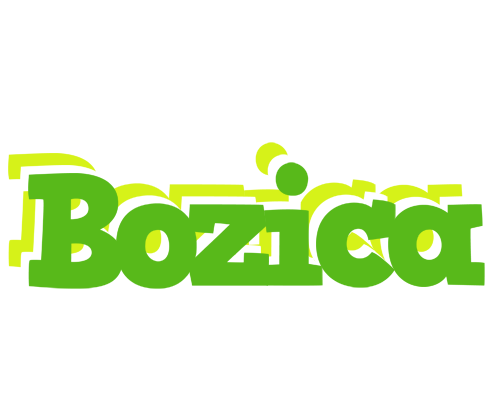 Bozica picnic logo
