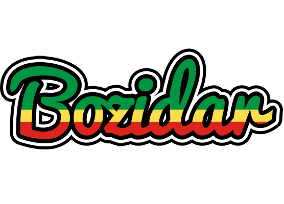 Bozidar african logo