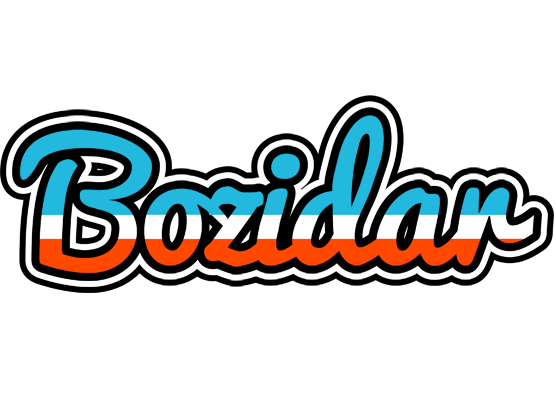 Bozidar america logo