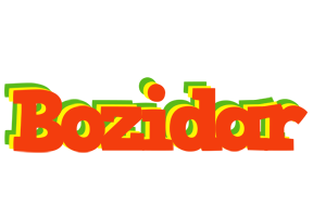 Bozidar bbq logo