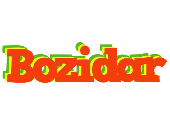 Bozidar bbq logo