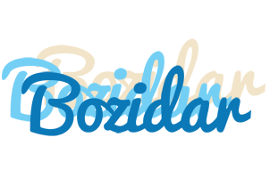 Bozidar breeze logo