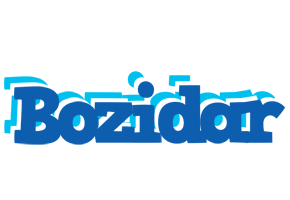 Bozidar business logo