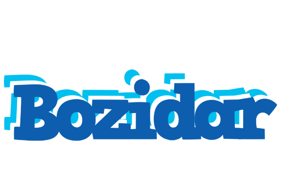 Bozidar business logo