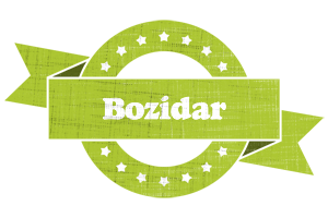 Bozidar change logo