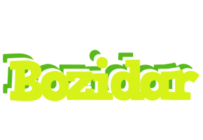 Bozidar citrus logo