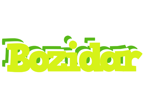 Bozidar citrus logo