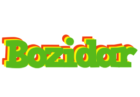 Bozidar crocodile logo