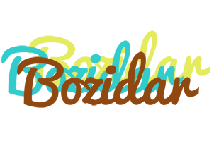 Bozidar cupcake logo