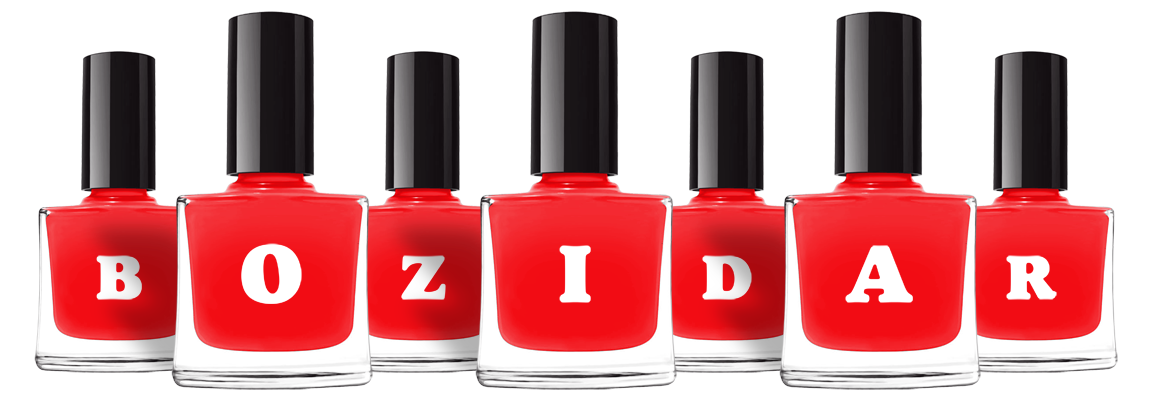 Bozidar fashion logo