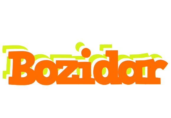Bozidar healthy logo