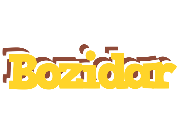 Bozidar hotcup logo