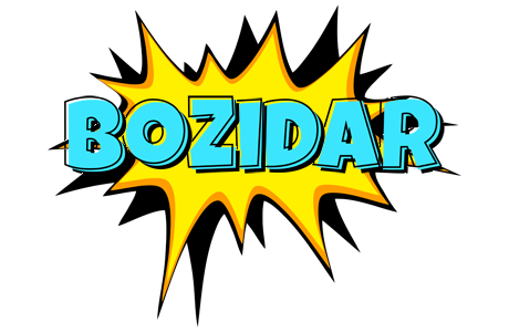 Bozidar indycar logo