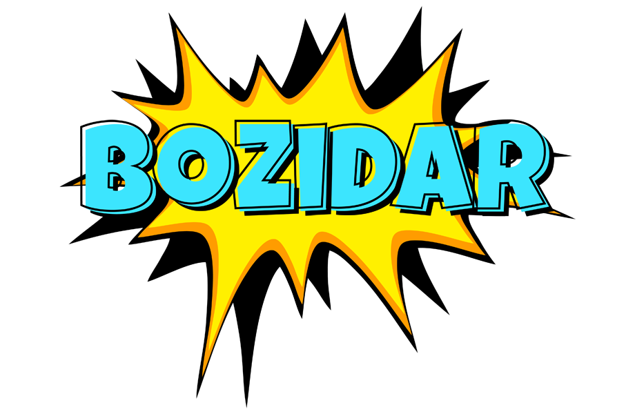 Bozidar indycar logo