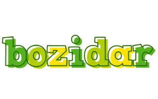 Bozidar juice logo