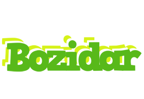 Bozidar picnic logo