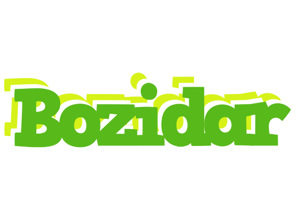 Bozidar picnic logo