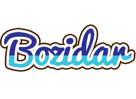 Bozidar raining logo