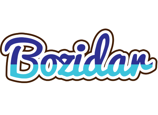 Bozidar raining logo