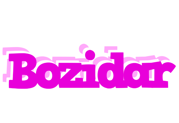 Bozidar rumba logo
