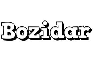 Bozidar snowing logo