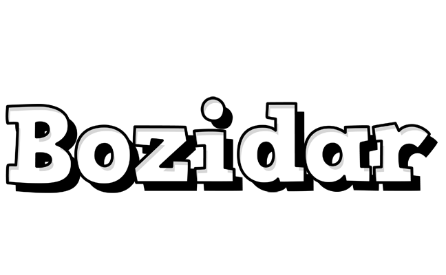 Bozidar snowing logo