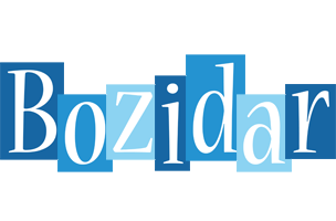 Bozidar winter logo