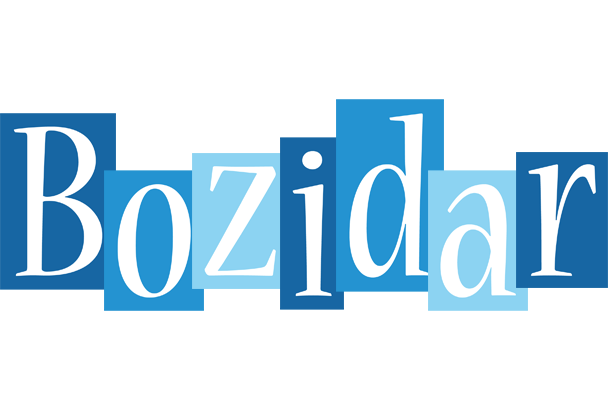 Bozidar winter logo