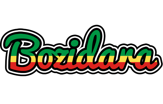 Bozidara african logo