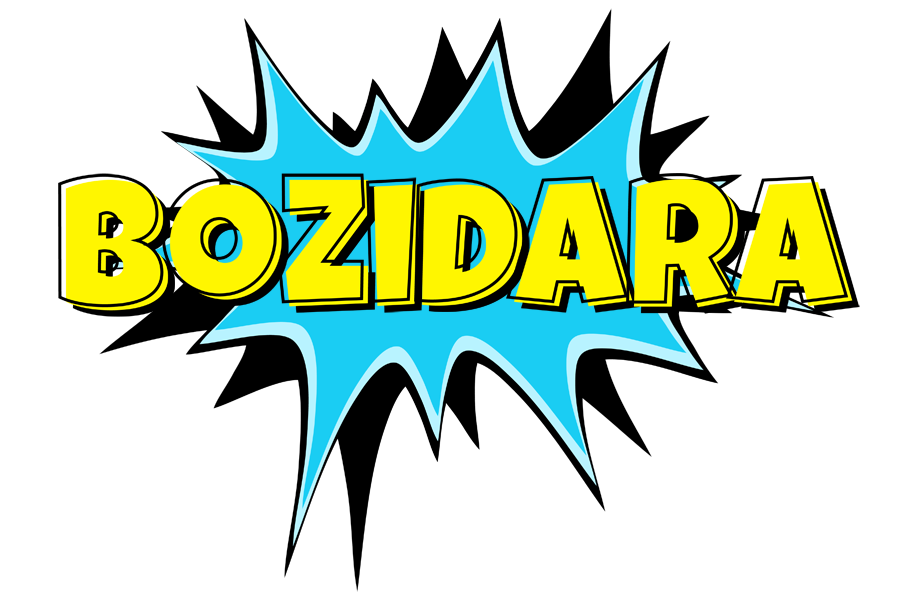 Bozidara amazing logo