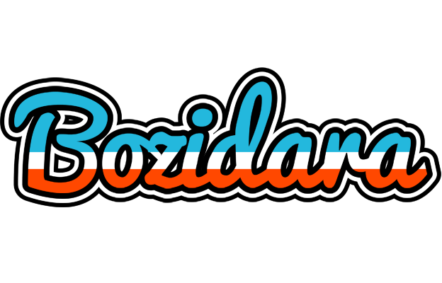 Bozidara america logo