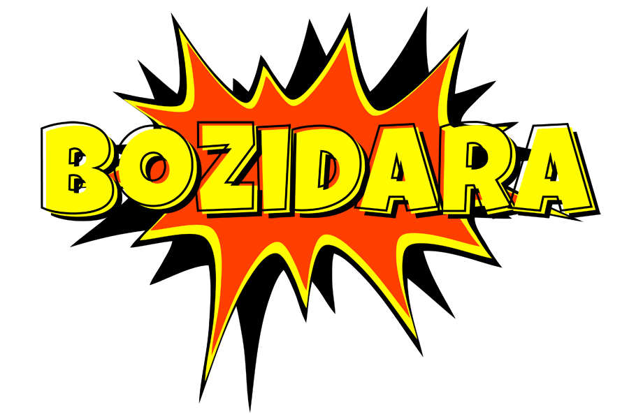 Bozidara bazinga logo