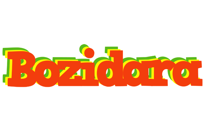 Bozidara bbq logo
