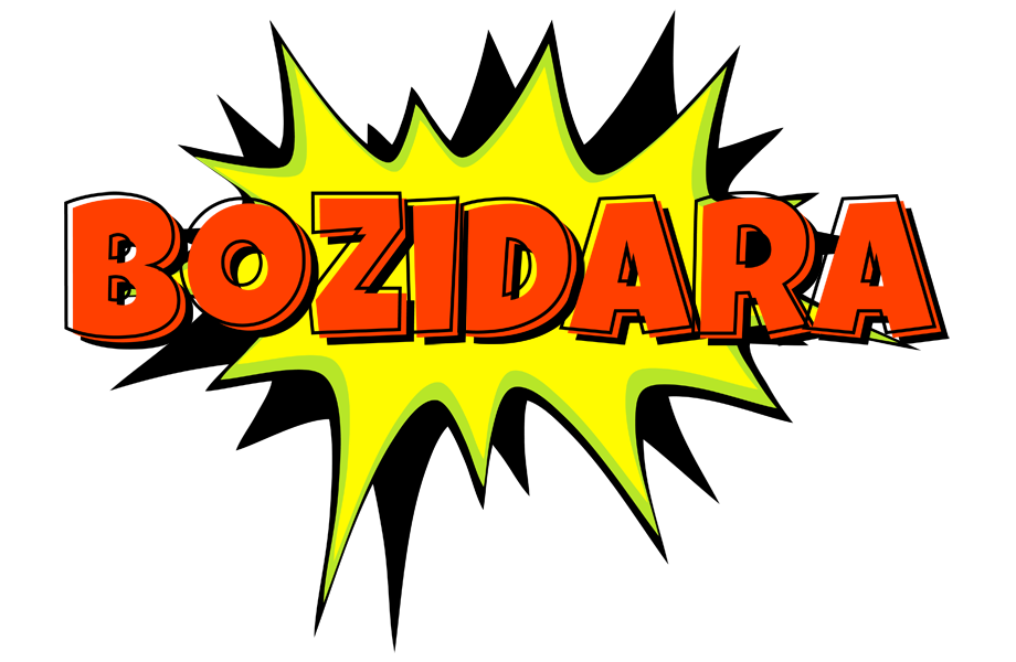 Bozidara bigfoot logo
