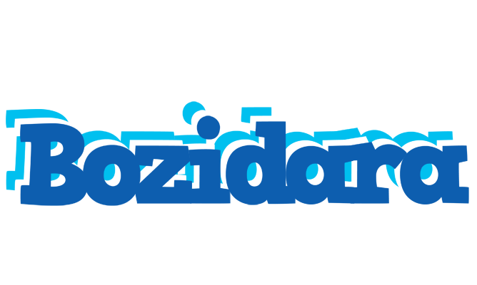 Bozidara business logo