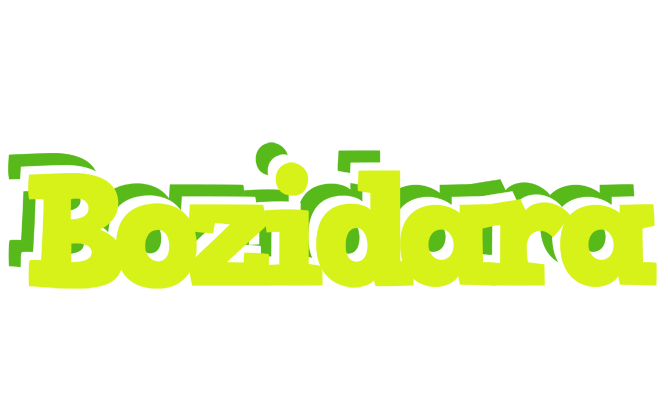 Bozidara citrus logo