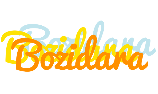 Bozidara energy logo