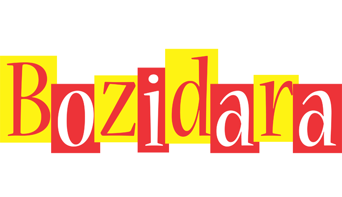 Bozidara errors logo