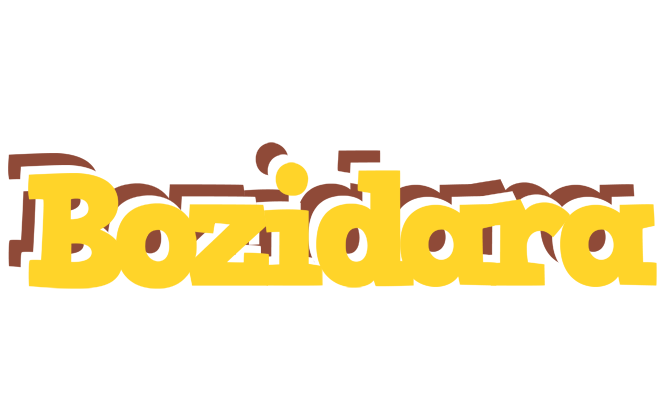 Bozidara hotcup logo