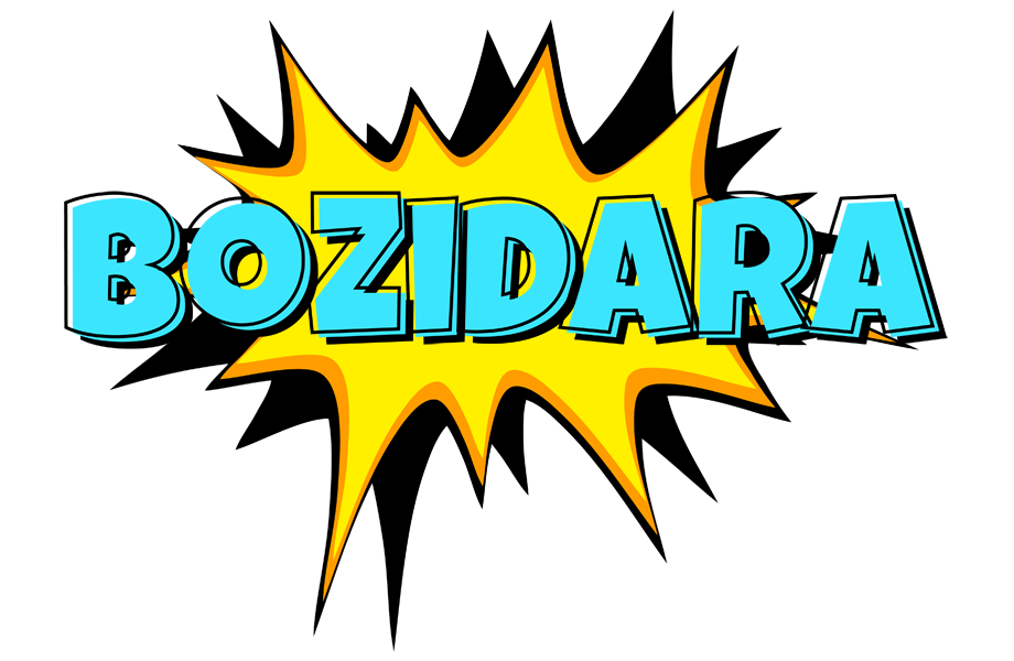 Bozidara indycar logo