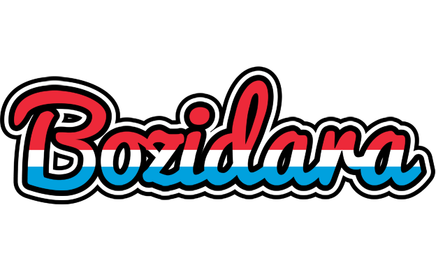 Bozidara norway logo